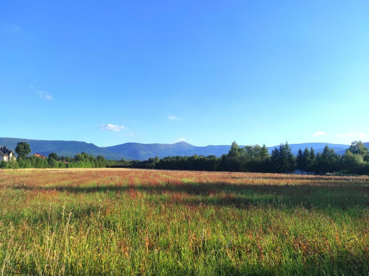 Willa Kolorowa Chata 6 Km Od Karpacza Mysłakowice Exteriör bild