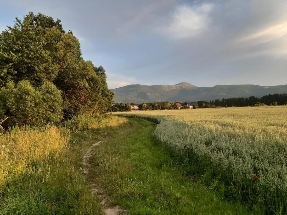 Willa Kolorowa Chata 6 Km Od Karpacza Mysłakowice Exteriör bild